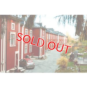 画像5: 【フィンランド発!】SantaColor サンタカラー100D 36枚 35mmカラーネガ デイライトフィルム